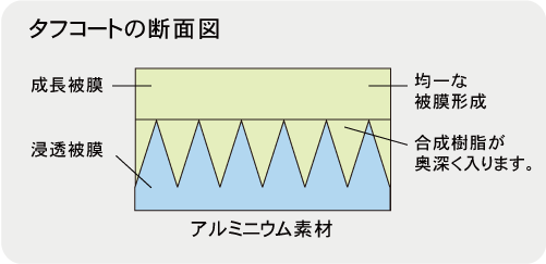 タフコートの断面図